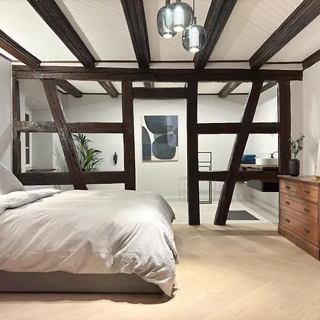 Spacious 130 Sqm With Master Bedroom On Alsace Wine Route, Easy Access, Private Garage