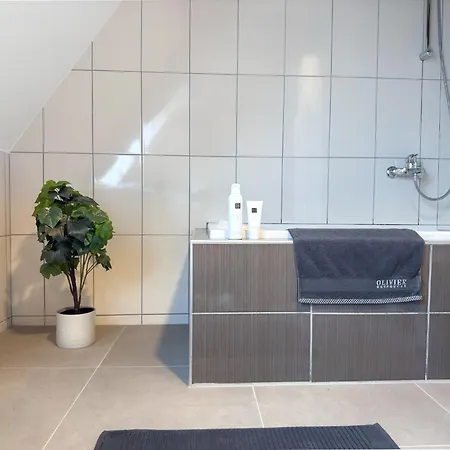 Spacious 130 Sqm With Master Bedroom On Alsace Wine Route, Easy Access, Private Garage Holiday home Marlenheim