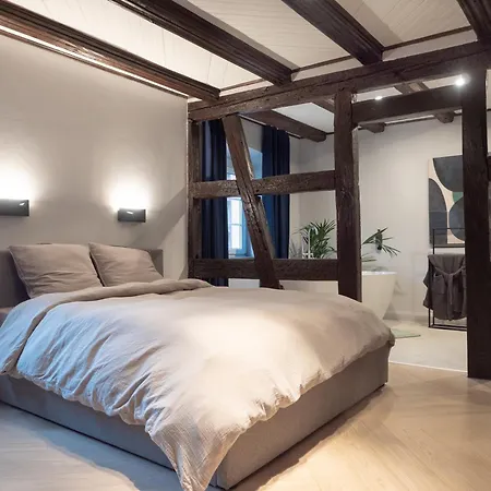 Spacious 130 Sqm With Master Bedroom On Alsace Wine Route, Easy Access, Private Garage Holiday home Marlenheim