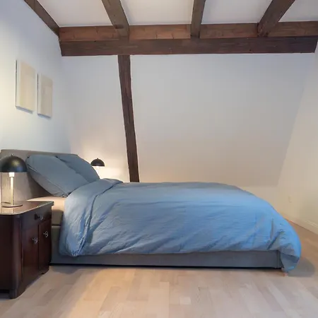 Spacious 130 Sqm With Master Bedroom On Alsace Wine Route, Easy Access, Private Garage * Marlenheim