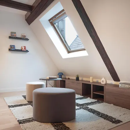 Spacious 130 Sqm With Master Bedroom On Alsace Wine Route, Easy Access, Private Garage Holiday home