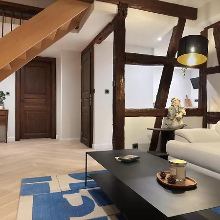 Spacious 130 Sqm With Master Bedroom On Alsace Wine Route, Easy Access, Private Garage Holiday home Marlenheim