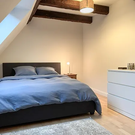 Spacious 130 Sqm With Master Bedroom On Alsace Wine Route, Easy Access, Private Garage Holiday home