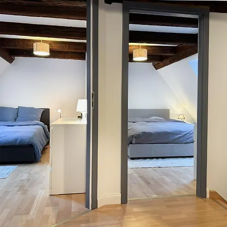 Spacious 130 Sqm With Master Bedroom On Alsace Wine Route, Easy Access, Private Garage Holiday home