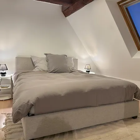 Spacious 130 Sqm With Master Bedroom On Alsace Wine Route, Easy Access, Private Garage Holiday home Marlenheim