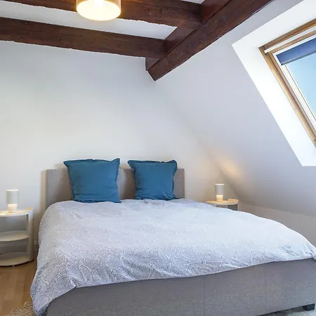 Spacious 130 Sqm With Master Bedroom On Alsace Wine Route, Easy Access, Private Garage Marlenheim