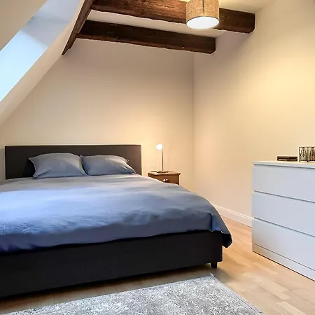 Spacious 130 Sqm With Master Bedroom On Alsace Wine Route, Easy Access, Private Garage * Marlenheim